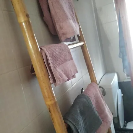 公寓 Via Pitagora 斯卡莱阿